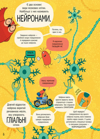 Книжка про мозок і те, як він працює - др. Бетіна Іп Книголав (258260453)
