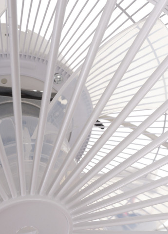 Біла люстра вентилятор WBL-74/36W*2 WH Brille (258288827)