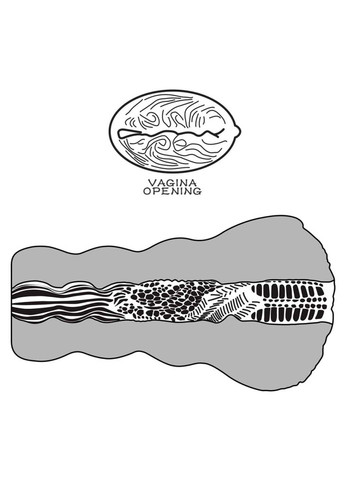 Мастурбатор для мужчин телесный Aliens Pie Masturbator №3 Lovetoy (258291093)