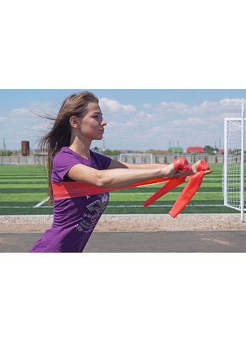 Стрічка еспандер 4112 Heavy 200x15x0.6мм, 11кг PowerPlay (258346965)