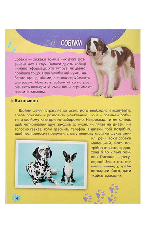 Книга Мініенциклопедія. Хатні улюбленці (9789669827241) Vivat (258357816)