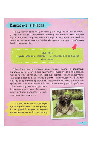 Книга Мініенциклопедія. Хатні улюбленці (9789669827241) Vivat (258357816)