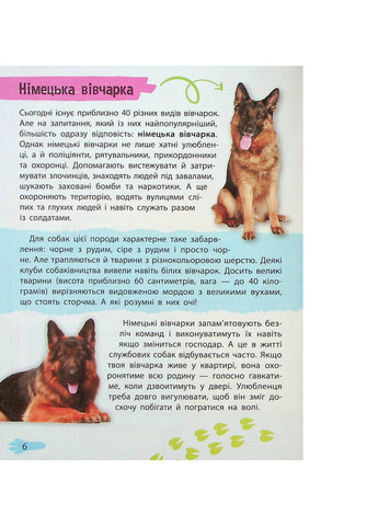 Книга Мініенциклопедія. Хатні улюбленці (9789669827241) Vivat (258357816)