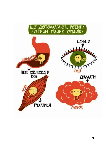 Книга Мікробам не читати! Книга про вакцину - Соня Зелена (9786177933181) Yakaboo Publishing (258357461)