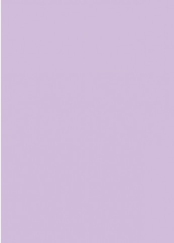 Блокнот "Frutti note", violet 40 листов формат В6 903160 4PROFI (258525664)