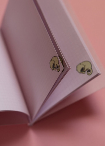 Блокнот "Kitty note", light pink 40 арк. формат A5 900053 4PROFI (258525690)
