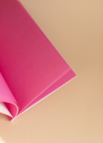 Блокнот "Bright Title note" raccoon 40 арк. формат B6 902590 4PROFI (258525910)