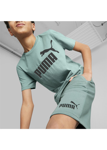 Дитячі шорти Essentials Youth Sweat Shorts Puma (258424443)