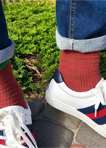 Шкарпетки з принтом кольорові смуги високі безшовні дихаючі ORGANIC cotton зелені з червоним носки 39-41 men's JILL ANTONY (258630781)