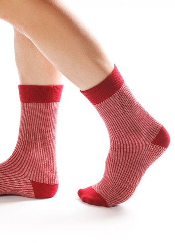 Носки с принтом цветные полосы высокие бесшовные дышащие качественные ORGANIC cotton красные 39-42 JILL ANTONY (258630779)