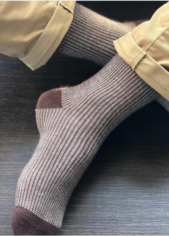 Шкарпетки з принтом кольорові смуги високі безшовні дихаючі якісні ORGANIC cotton коричневі носки 39-41 men's JILL ANTONY (258630790)