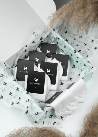 Носки в коробке набор 8 пар короткие однотонные мужские бесшовные дышащие ORGANIC cotton красивая коробка микс 39-41 JILL ANTONY (258722933)