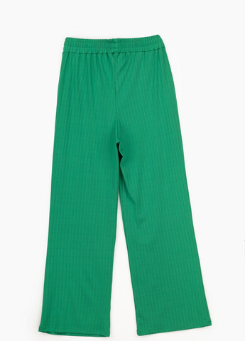 Зеленые повседневный летние брюки Divon