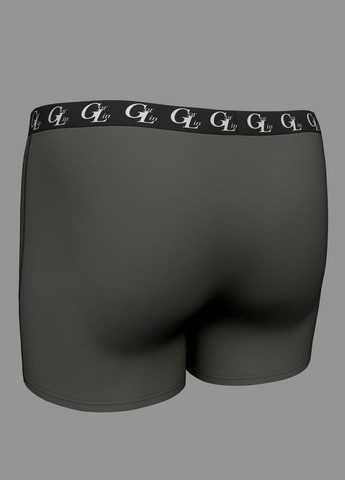 Мужские трусы-боксеры GorLin (258965092)