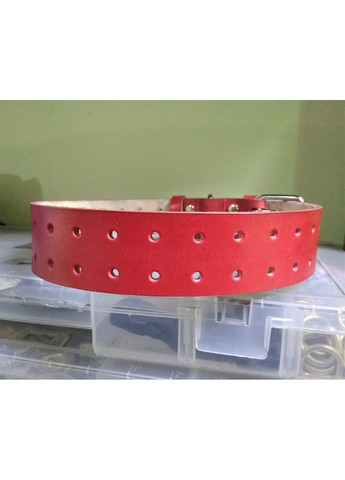 Крепкий надежный ошейник из натуральной кожи XL(56-70 см) Lockdog (259092045)