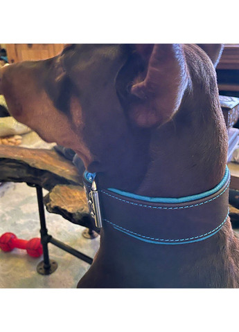 Ошейник из натуральной кожи L(45-55 см) Lockdog (259093785)