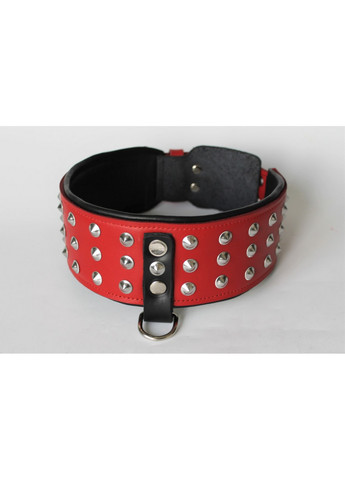 Нашийник з повідцем для собаки L(45-55 см) Lockdog (259093051)