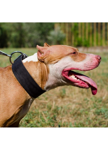 Классический ошейник из натуральной кожи XL(56-70 см) Lockdog (259090971)