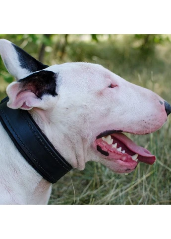Нашийник з повстяною підкладкою L(45-55 см) Lockdog (259093770)