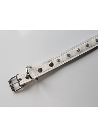 Ошейник M(30-44 см) Lockdog (259093066)