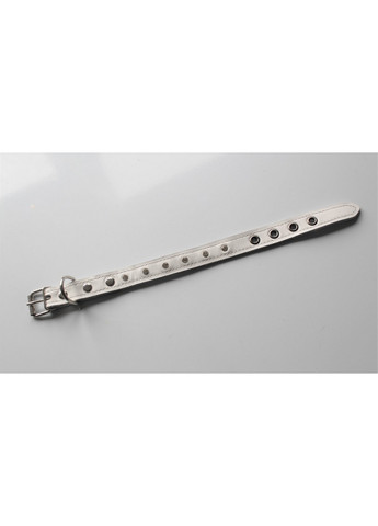 Ошейник M(30-44 см) Lockdog (259093066)