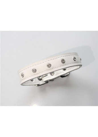 Ошейник M(30-44 см) Lockdog (259093066)