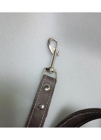 Шкіряний повідець для собаки 200х2 см Lockdog (259090959)