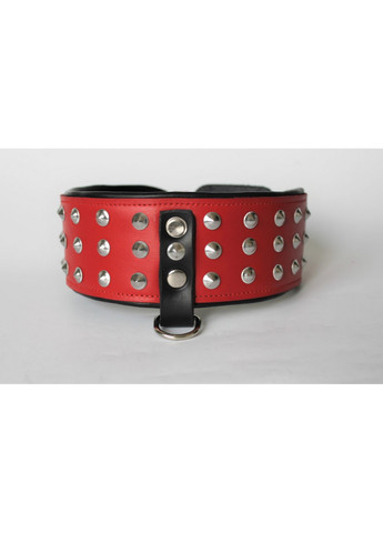 Нашийник з повідцем для собаки S(16-29 см) Lockdog (259093040)
