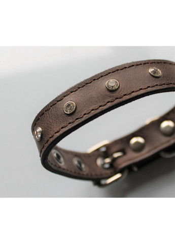 Нашийник для невеликих собак M(30-44 см) Lockdog (259090979)