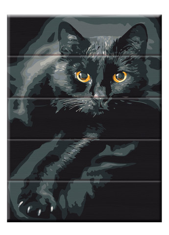 Набір малювання за номерами на дереві Кіт у темряві ArtStory (259138832)