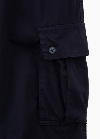 Темно-синие спортивные демисезонные брюки Black zi