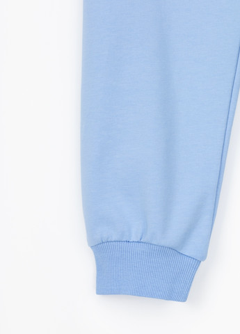 Голубые спортивные демисезонные брюки Toontoy