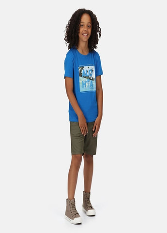 Голубая летняя футболка Regatta