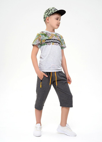 Серая летняя футболка детская ISSA PLUS Футболка-GCD1-20