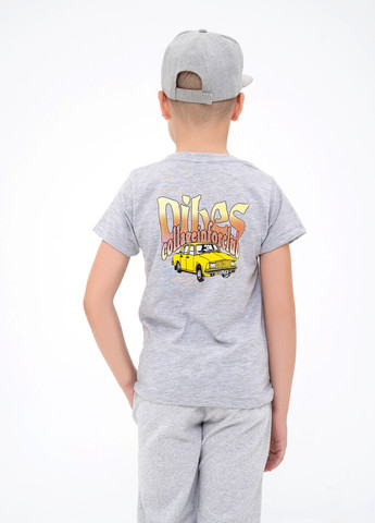 Серая летняя футболка детская ISSA PLUS Футболка-GCD1-06