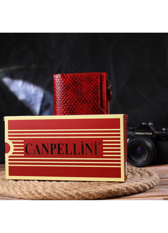 Женский кожаный кошелек 10х18,7х2 см Canpellini (259245235)