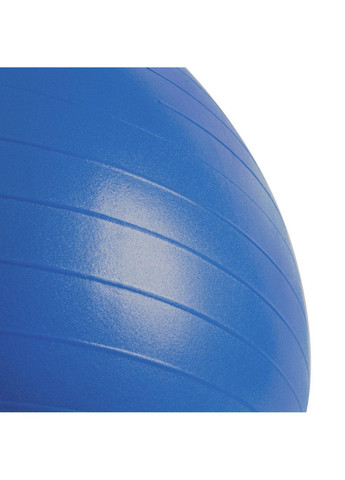 Гимнастический мяч для спорта с насосом 55х55 см Spokey (259245291)