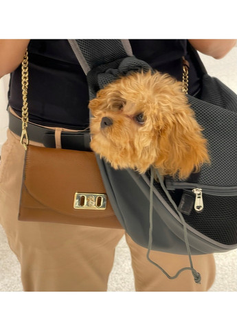 Сумка-рюкзак для тварин 31x24x22 см Reverse (259244863)