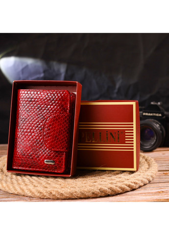 Женский кожаный кошелек 10х13х1,5 см Canpellini (259246344)