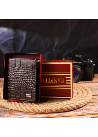 Мужское кожаное портмоне 10х11,5х1 см Canpellini (259246313)