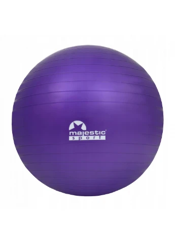 Мяч гимнастический или фитбол 65х65 см Majestic Sport (259246738)