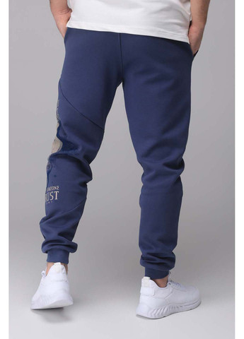 Синие спортивные демисезонные брюки Tommy Life