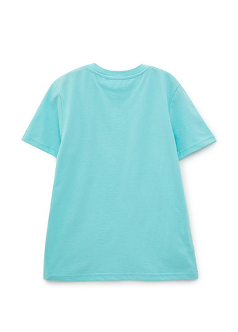 Мятный комплект для мальчиков (шорты+футболка) Роза