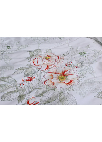 Постільна білизна з компаньйоном Сімейний Tag (259522241)