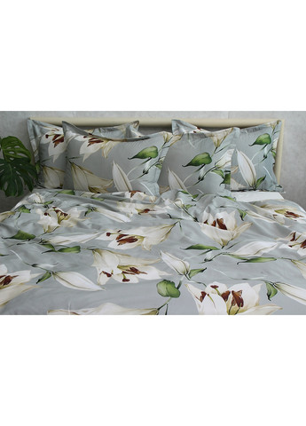Комплект постільної білизна з компаньйоном Евро Tag (259525436)