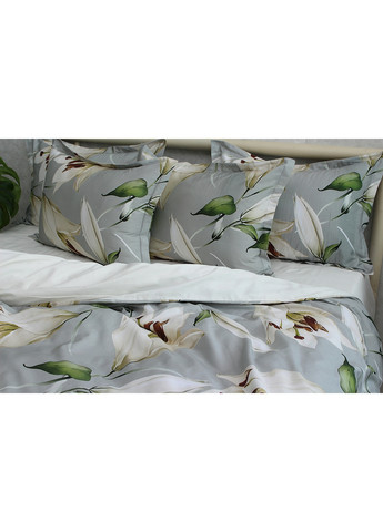 Комплект постільної білизна з компаньйоном Евро Tag (259525436)