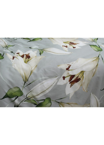 Комплект постельного белья с компаньоном 2-спальный Tag (259525483)