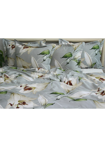 Комплект постельного белья с компаньоном 2-спальный Tag (259525483)
