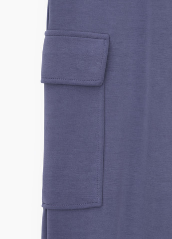 Фиолетовые спортивные демисезонные брюки Karol