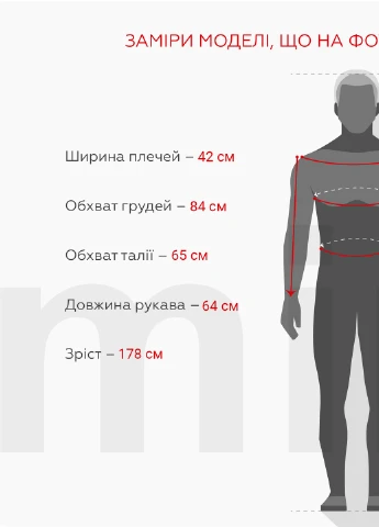 Штани Tommy Life (259786818)